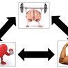 HRV and the Self-Rated Health Scale